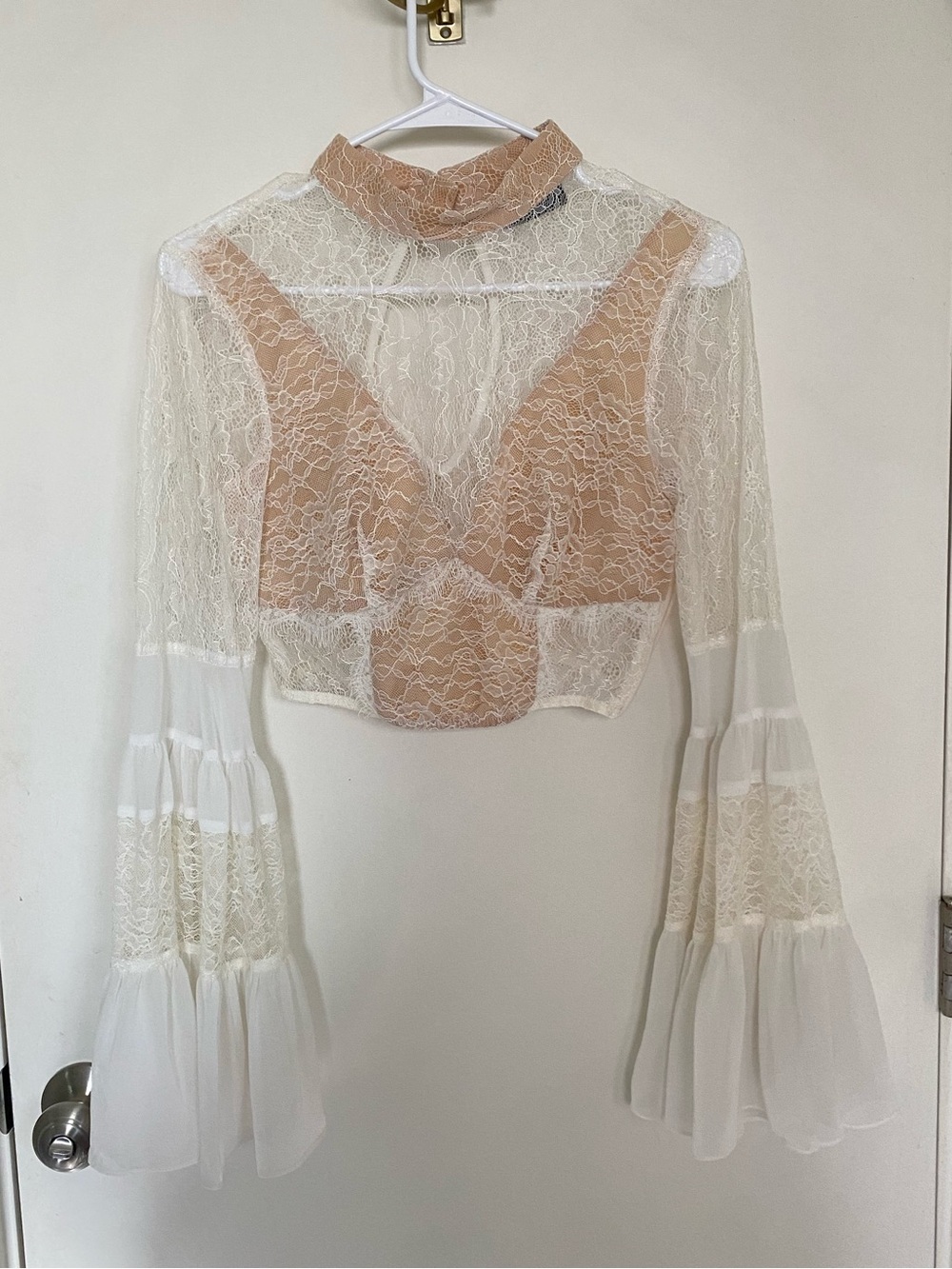 Nasty Gal Sheer Lace Bell Sleeves Crop Top